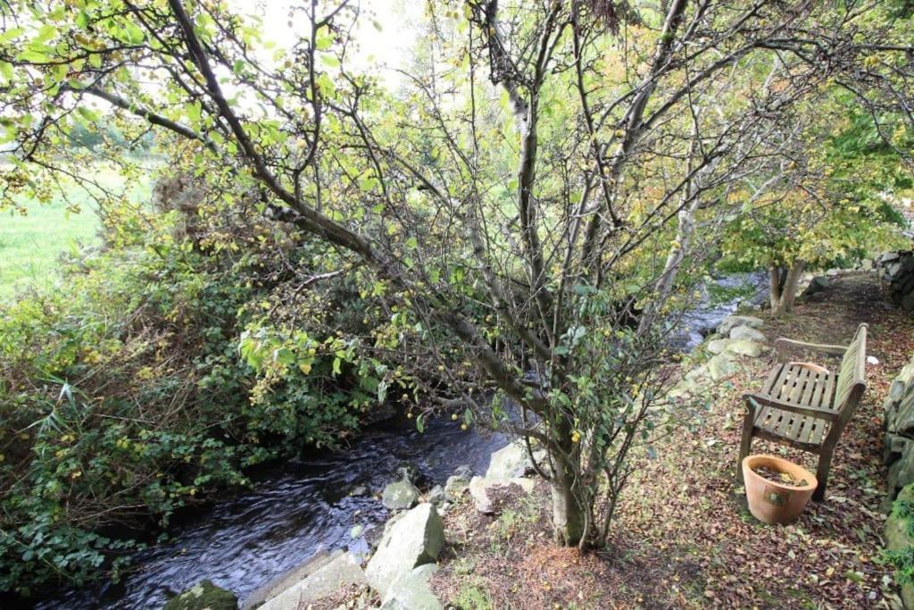 Riverside Cottage At Logwood Mill Ballyclare Экстерьер фото