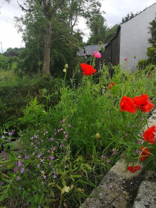 Riverside Cottage At Logwood Mill Ballyclare Экстерьер фото