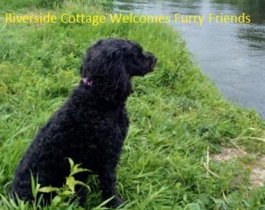 Riverside Cottage At Logwood Mill Ballyclare Экстерьер фото